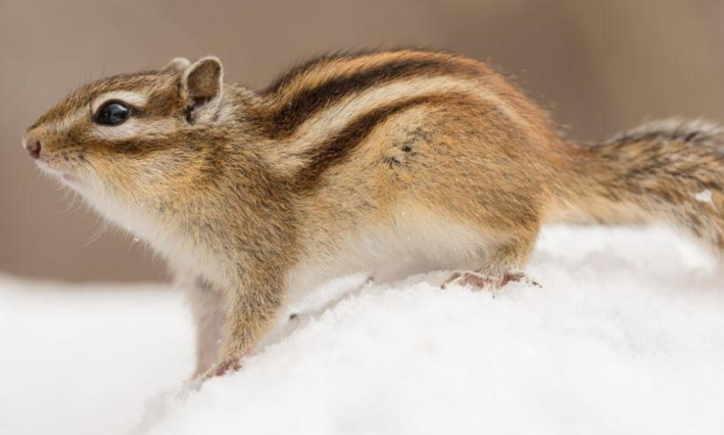 青島中祥電力工程有限公司輪播圖3