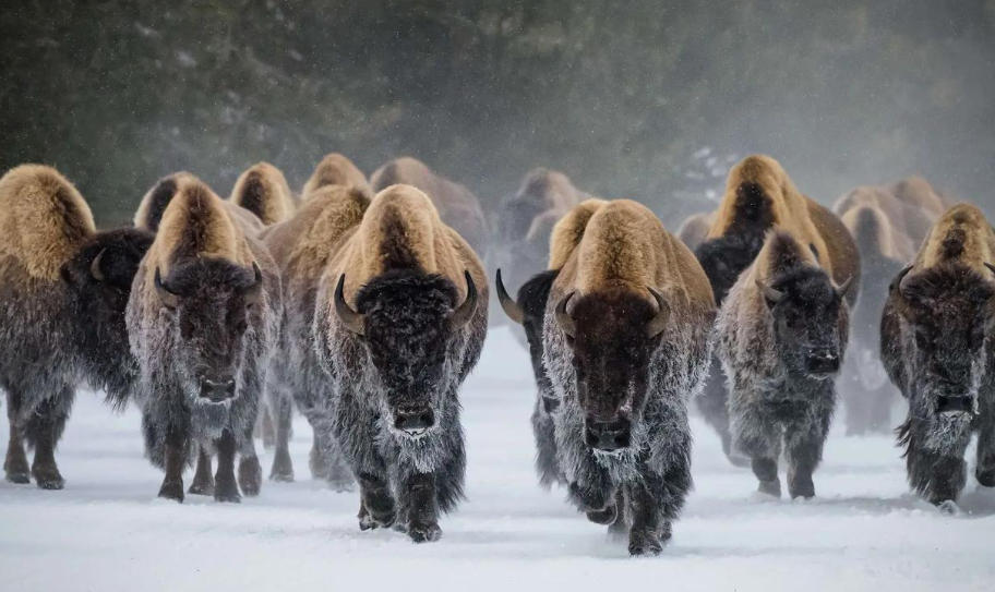 青島中祥電力工程有限公司輪播圖1